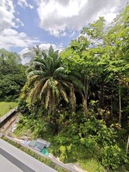 Greenbank Park (D21), Semi-Detached #558097451